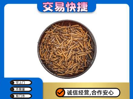 巴音郭楞州高价回收散虫草